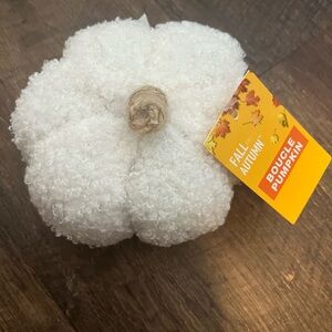 NWT White Fall Autumn Boucle Pumpkin Decor